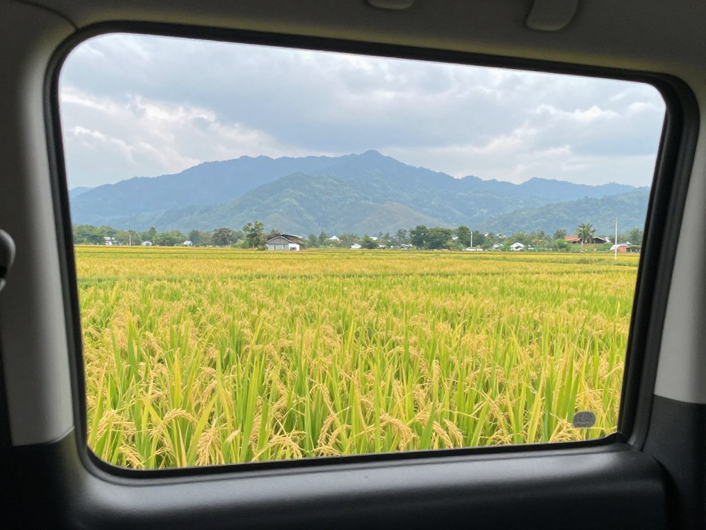 ทัศนียภาพสวยงามระหว่างการเดินทางด้วยบริการเช่ารถตู้อุบล
